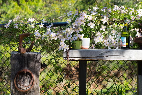 Cottage 4A - Sunshine Coast Tourism 4