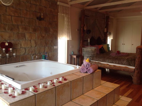 Ditto Daddy's - Sunshine Coast Tourism 9