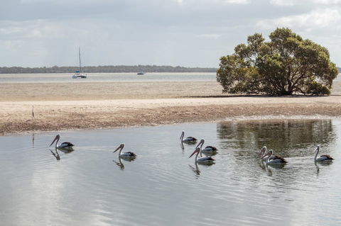 BIG4 Breeze Holiday Parks - Rainbow Beach - Sunshine Coast Tourism 32