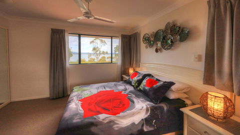 Dolphin Waters - Sunshine Coast Tourism 4