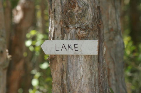 Lake Weyba Noosa Lodge & Kangaroos - Holiday Sunshine Coast 36