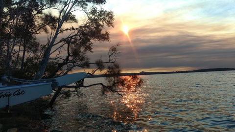 Lake Weyba Noosa Lodge & Kangaroos - Holiday Sunshine Coast 40