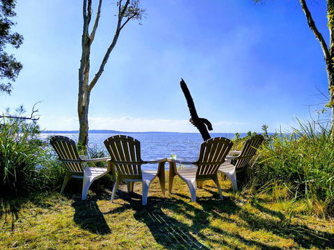 Lake Weyba Noosa Lodge & Kangaroos - Holiday Sunshine Coast 44