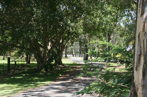 Lake Weyba Noosa Lodge & Kangaroos - Holiday Sunshine Coast 34