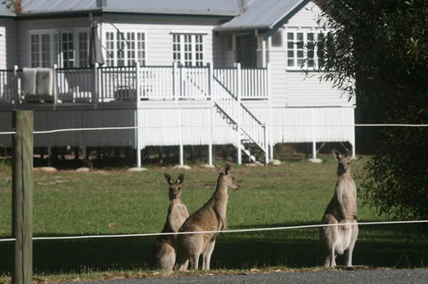 Lake Weyba Noosa Lodge & Kangaroos - Holiday Sunshine Coast 28