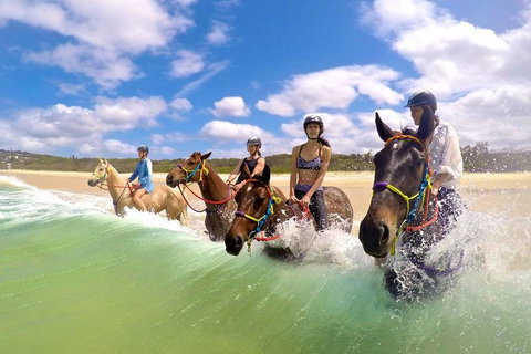 Salty Vibes Retreat - Sunshine Coast Tourism 6