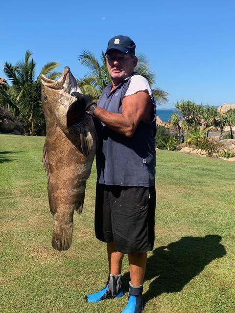 Whitsunday Sands Resort - Sunshine Coast Tourism 31