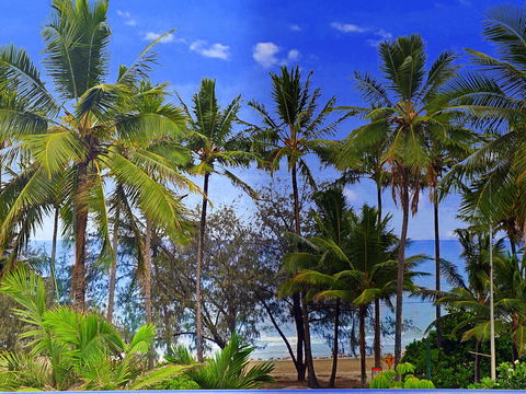 By The Sea Port Douglas - Holiday Sunshine Coast 3