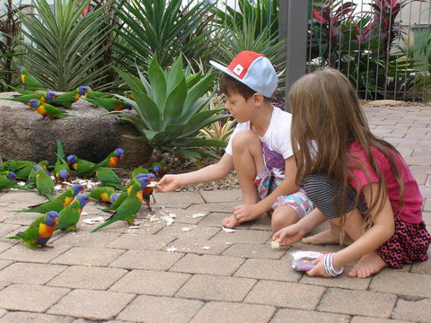Island Leisure Resort - Holiday Sunshine Coast 25