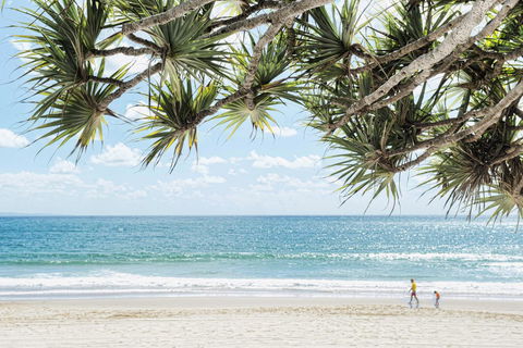 Netanya Noosa Beachfront Resort - Sunshine Coast Tourism 38