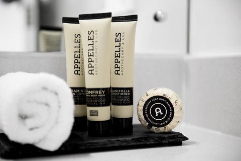 Netanya Noosa Beachfront Resort - Sunshine Coast Tourism 3