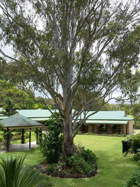 The Bearded Dragon Boutique Hotel - Holiday Sunshine Coast 32