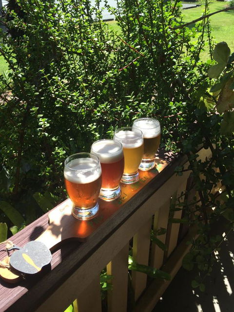 The Bearded Dragon Boutique Hotel - Holiday Sunshine Coast 31