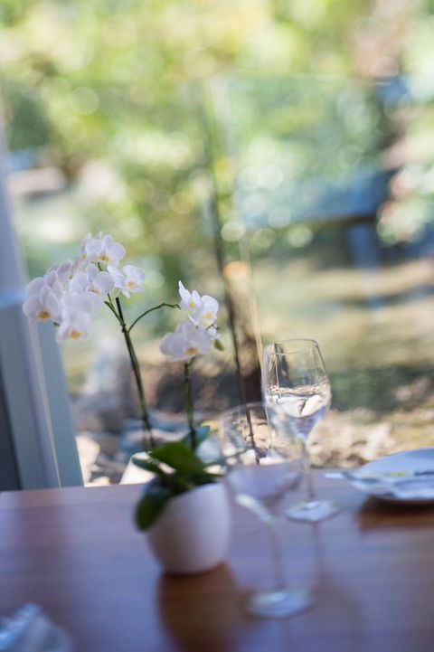 Heart Hotel And Gallery Whitsundays - Sunshine Coast Tourism 23