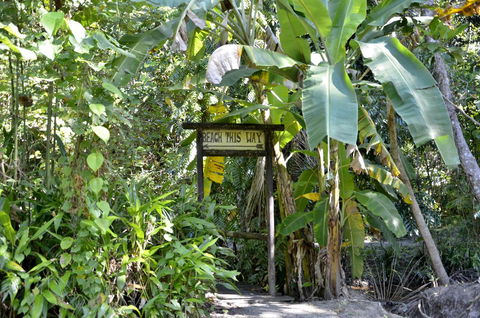 PK\'s Jungle Village - Holiday Sunshine Coast 23