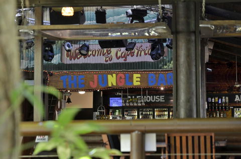 PK\'s Jungle Village - Holiday Sunshine Coast 20