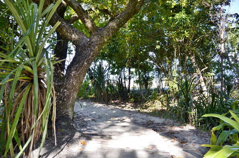 PK\'s Jungle Village - Holiday Sunshine Coast 28