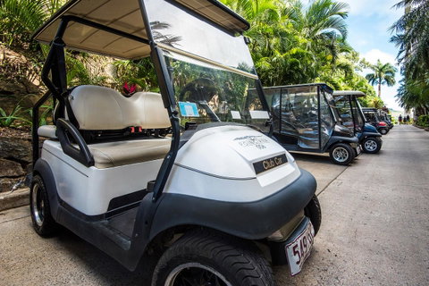 Beach Lodges - Sunshine Coast Tourism 40