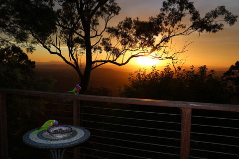 The Polish Place - Holiday Sunshine Coast 17