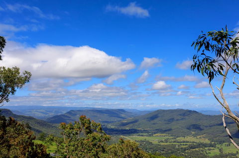 The Polish Place - Holiday Sunshine Coast 19
