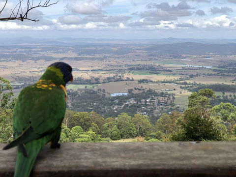 The Polish Place - Holiday Sunshine Coast 6