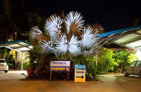 Trinity Beach Pacific - Sunshine Coast Tourism 11