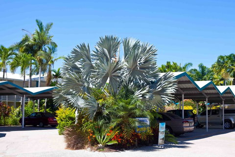 Trinity Beach Pacific - Sunshine Coast Tourism 15