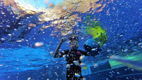 Martinique Whitsunday Resort - Sunshine Coast Tourism 22