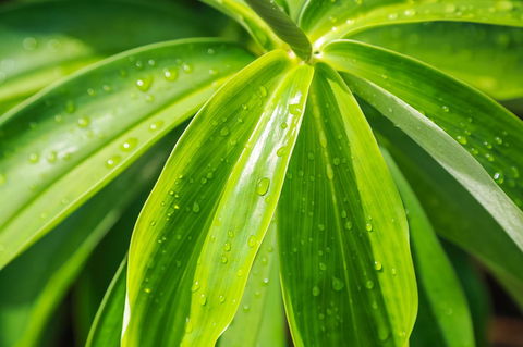 Port Douglas Motel - Sunshine Coast Tourism 27