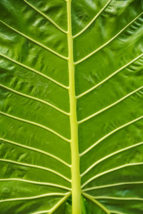 Port Douglas Motel - Sunshine Coast Tourism 24