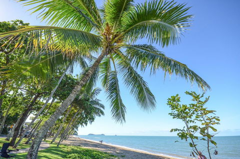 Roydon Beachfront Apartments - Sunshine Coast Tourism 6