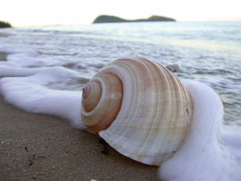 Argosy On The Beach - Sunshine Coast Tourism 18