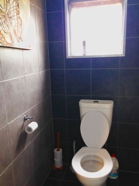 XYL Pets Friendly Seaside Boutique Guesthouse - Sunshine Coast Tourism 5