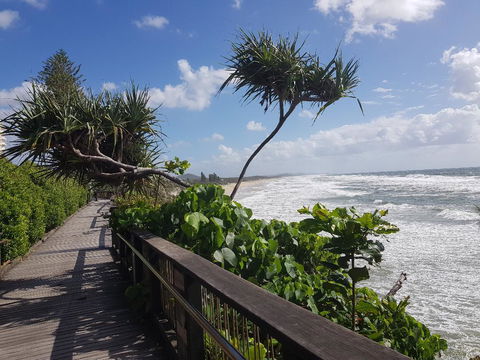 Beach House On Tradewinds Avenue - Sunshine Coast Tourism 13