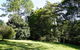 McCarthy Grove Maleny - thumb 2