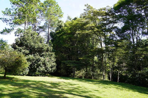 McCarthy Grove Maleny - Sunshine Coast Tourism 2