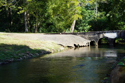 McCarthy Grove Maleny - Sunshine Coast Tourism 1
