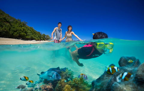 Fitzroy Island Resort - Sunshine Coast Tourism 22