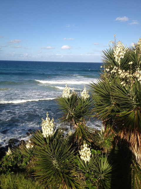 Oceania On Burleigh Beach - Holiday Sunshine Coast 23