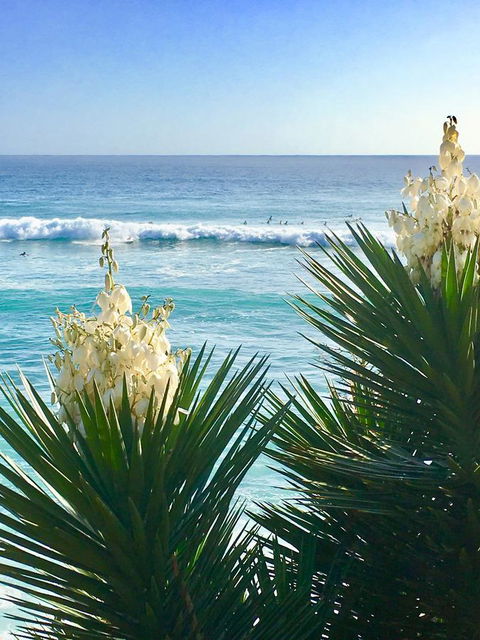 Oceania On Burleigh Beach - Holiday Sunshine Coast 21