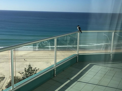 Ocean Plaza Resort - Holiday Sunshine Coast 28