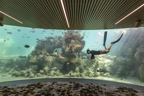 Daydream Island Resort - Holiday Sunshine Coast 28