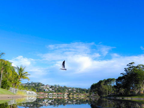 Bay Of Palms - Holiday Sunshine Coast 18