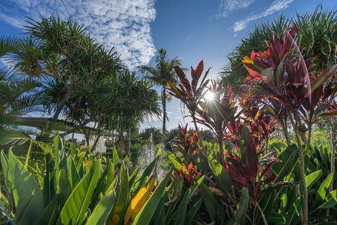 Currumbin Sands On The Beach - Holiday Sunshine Coast 9