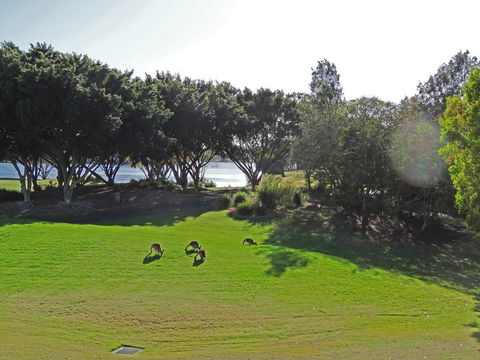 Waterfront Resort Villa With Buggy - Sunshine Coast Tourism 32
