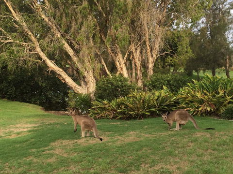 Waterfront Resort Villa With Buggy - Sunshine Coast Tourism 19