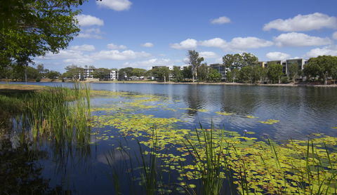 Jacana Apartments - Holiday Sunshine Coast 15