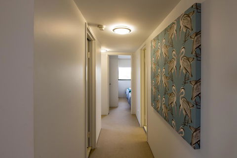 Burgess @ Kings Beach Apartments - Sunshine Coast Tourism 39