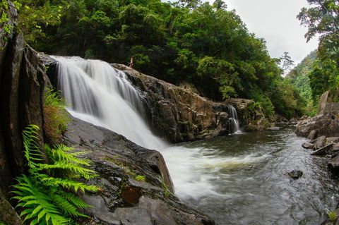 Coral Tree Inn - Sunshine Coast Tourism 40