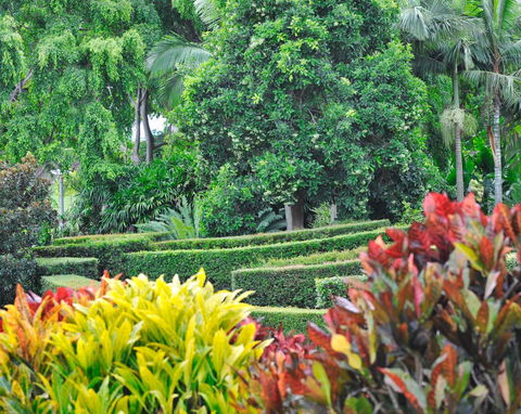 Soho Brisbane - Sunshine Coast Tourism 3